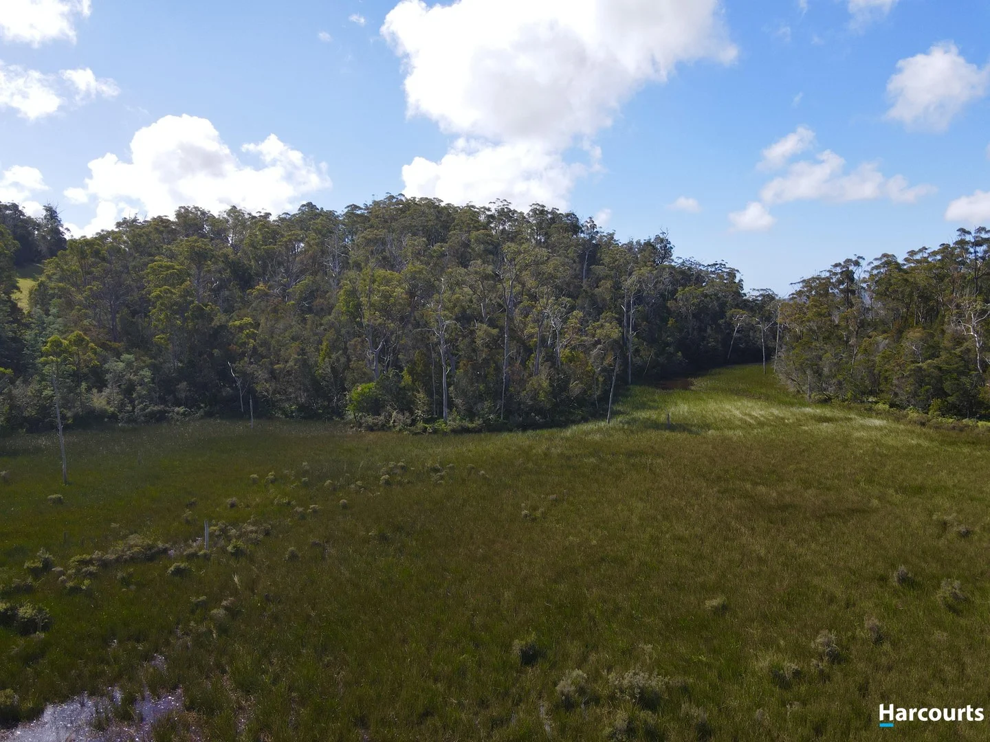 Additional image 3 of 311 Medeas Cove Road, St Helens TAS 7216