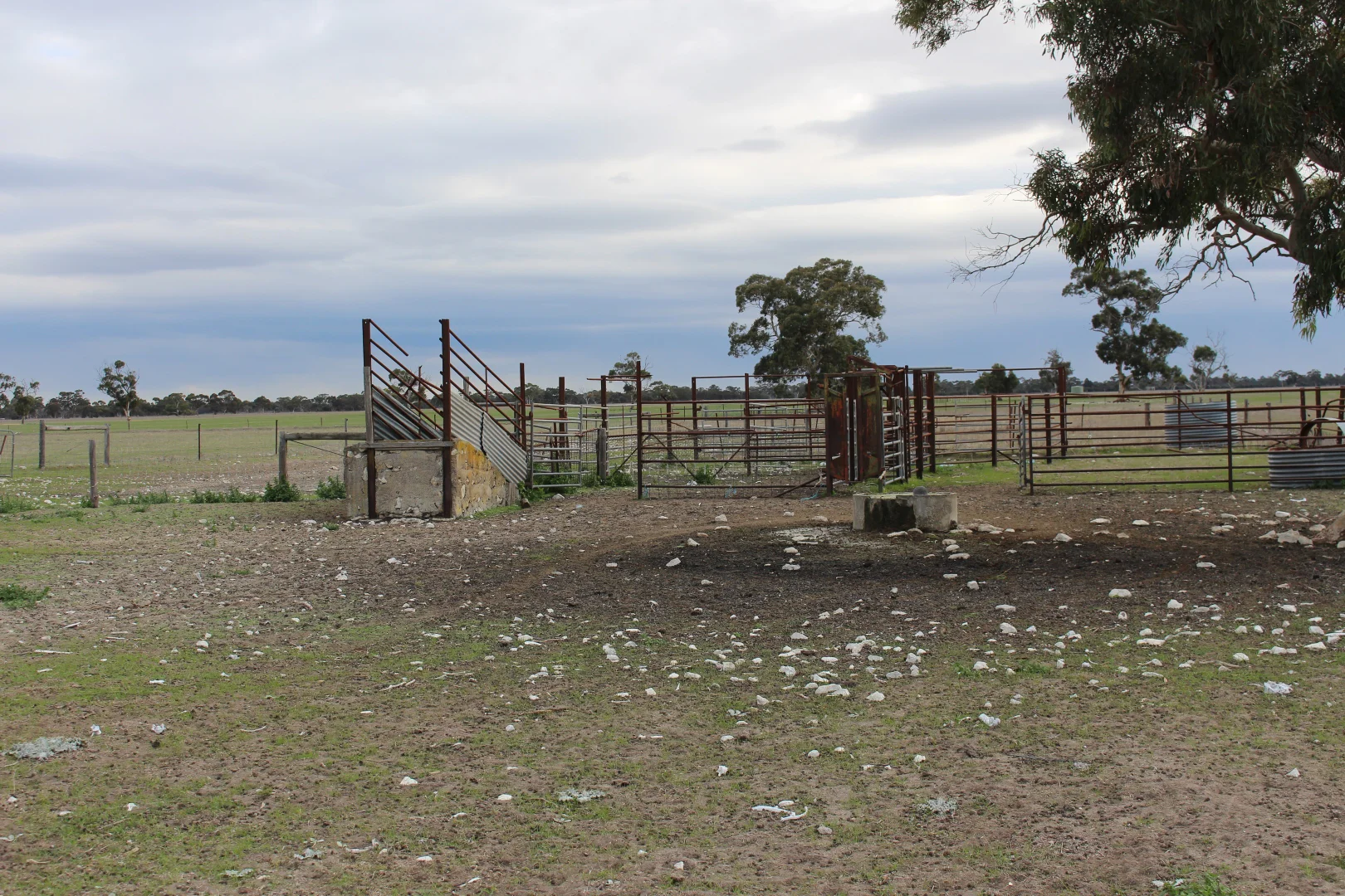 Additional image 6 of Proposed Allotment 11 Black Road, Keith SA 5267