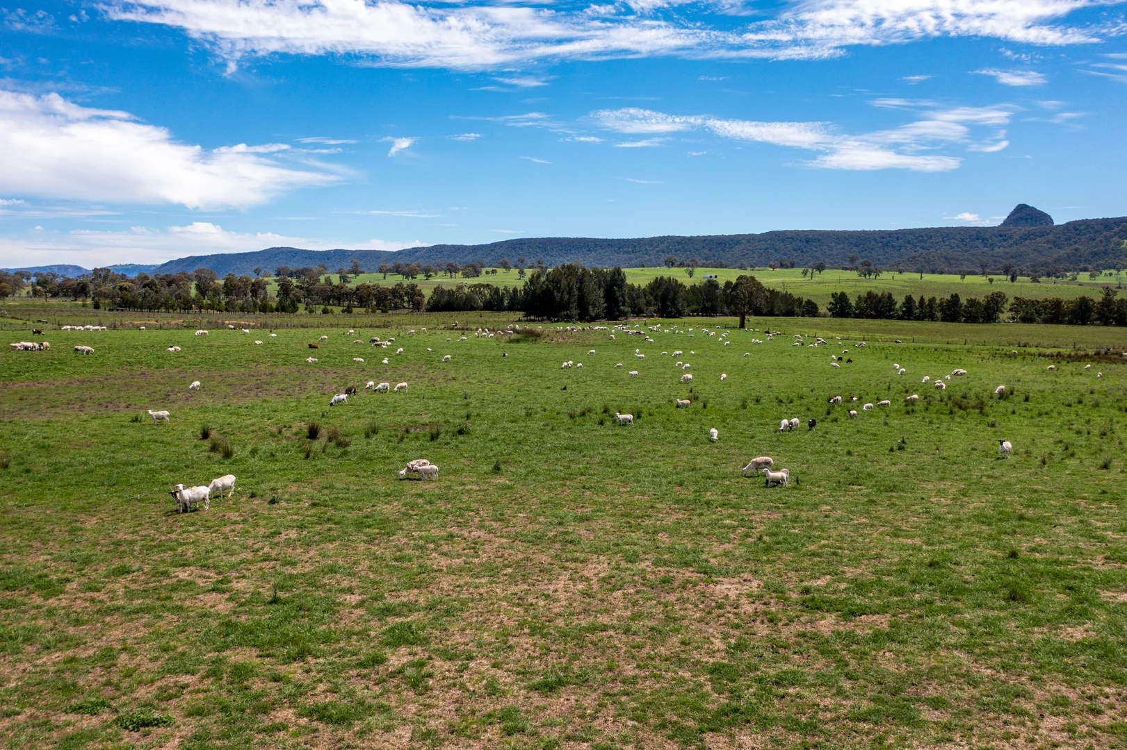 Additional image 6 of 22 //1235 Glen Alice Road, Rylstone NSW 2849