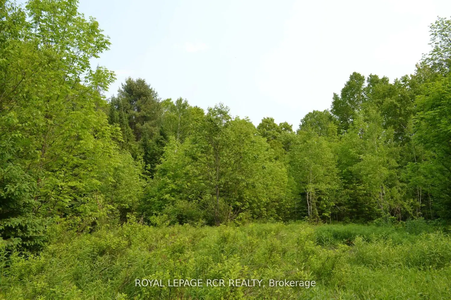 Additional image 2 of 1527 Madill Road