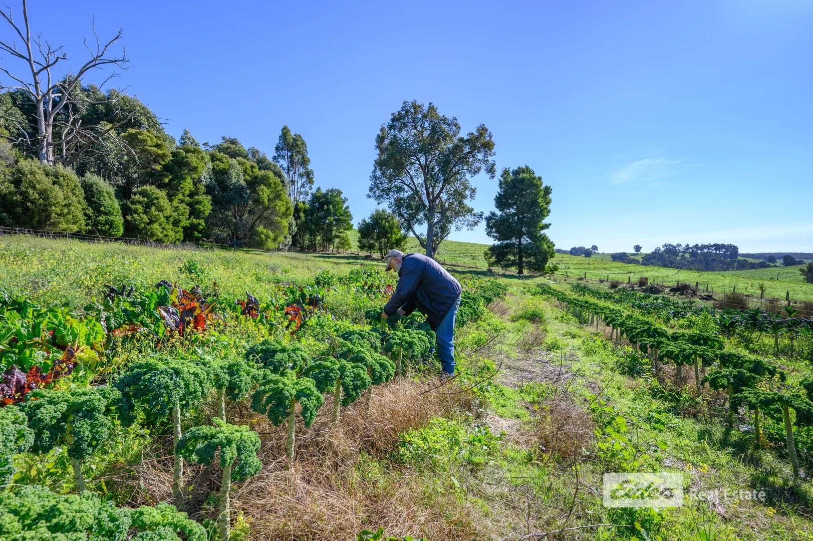 Additional image 29 of Lot 769 Prowse Road, Balingup WA 6253