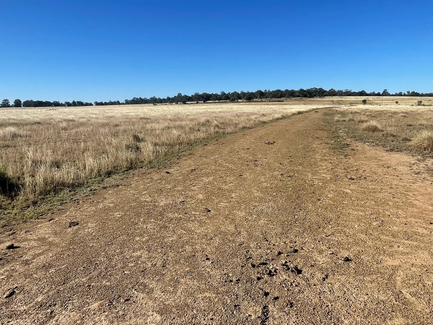 Additional image 21 of 780 Olinda Rd, Kokotungo QLD 4702