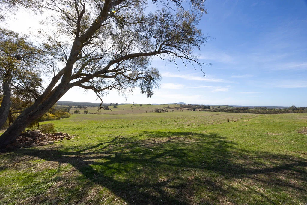 Additional image 34 of 99 Bibbys Lane, Garibaldi VIC 3352