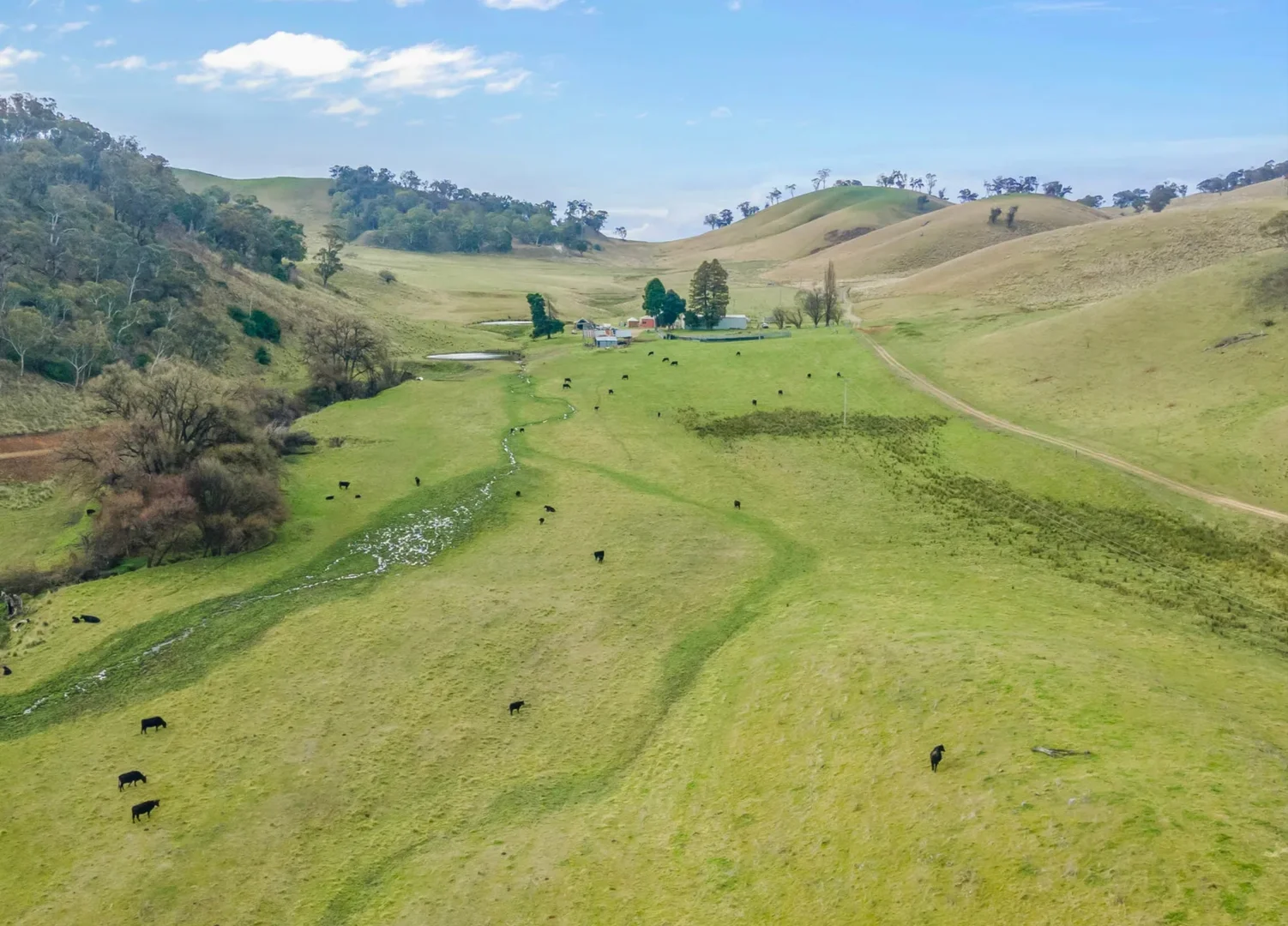 Additional image 11 of 226 Quarry Road, Ben Bullen NSW 2790