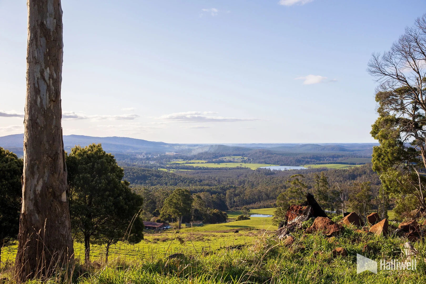 Additional image 11 of Maloneys Road, Sunnyside TAS 7305