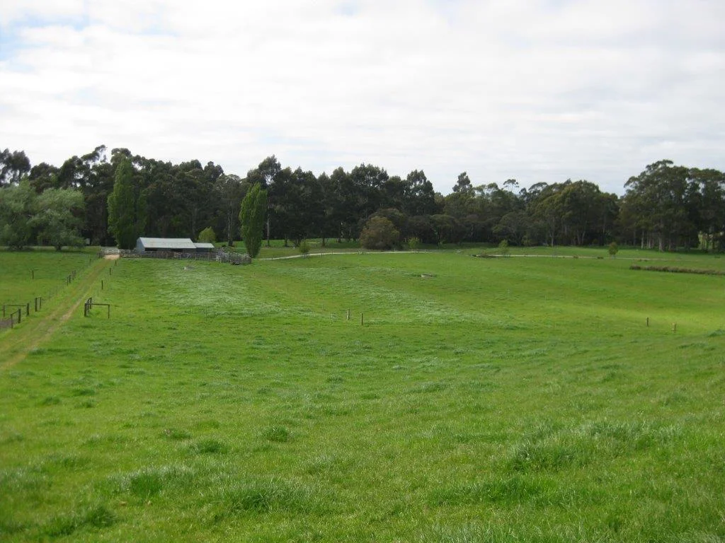 Additional image 13 of 16463 Bass Highway, Wynyard TAS 7325