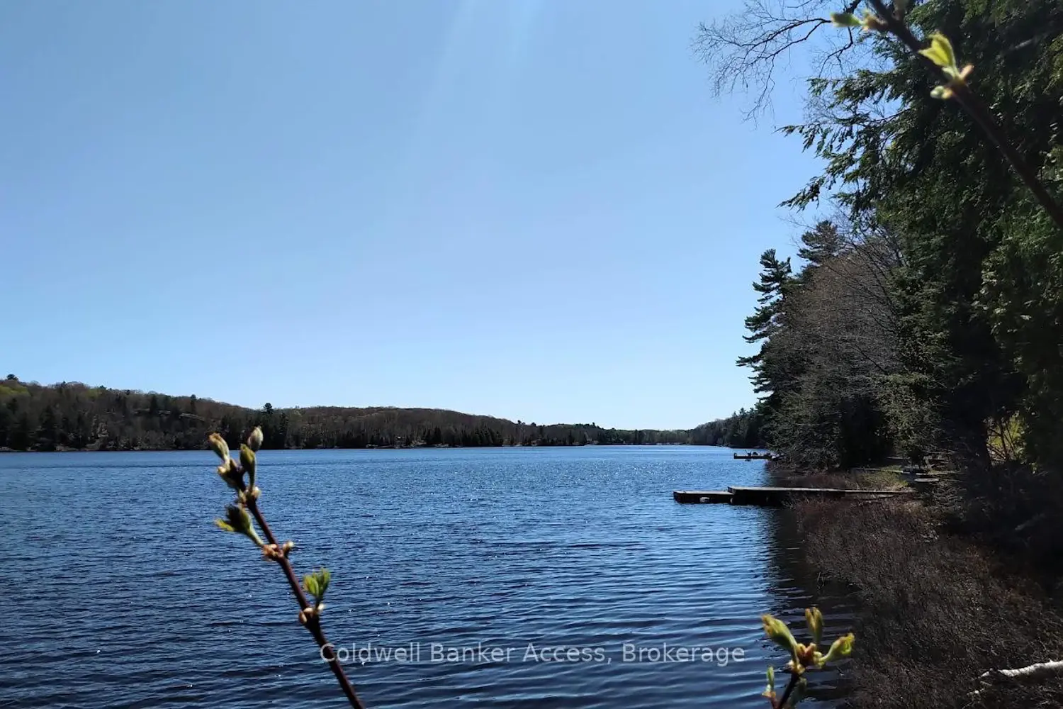 Additional image 3 of 153 Highway 124