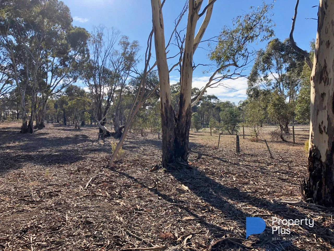 Additional image 12 of 1 Bendigo-Maryborough Road, Shelbourne VIC 3515