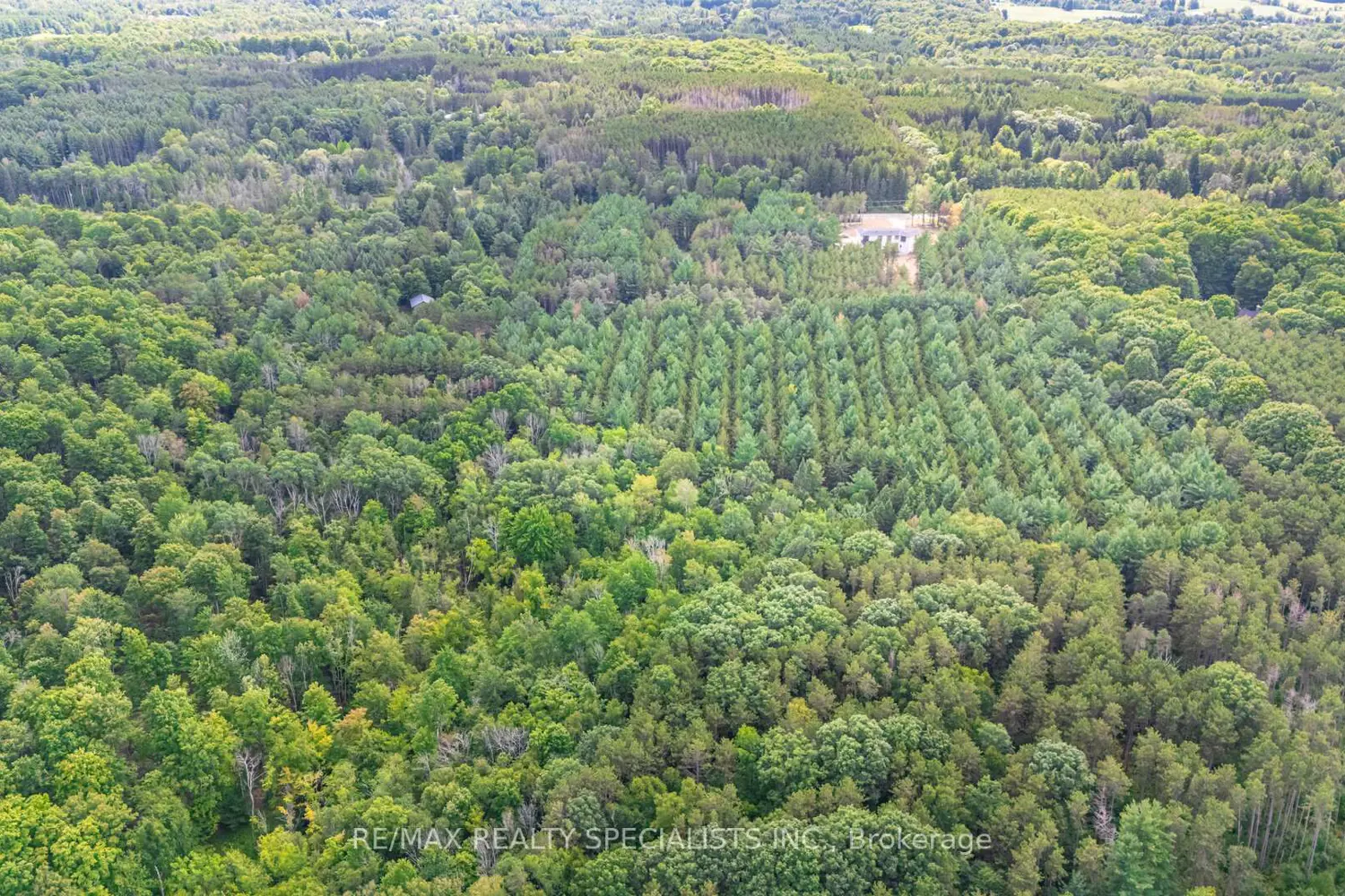 Additional image 6 of 18711 The Gore Road