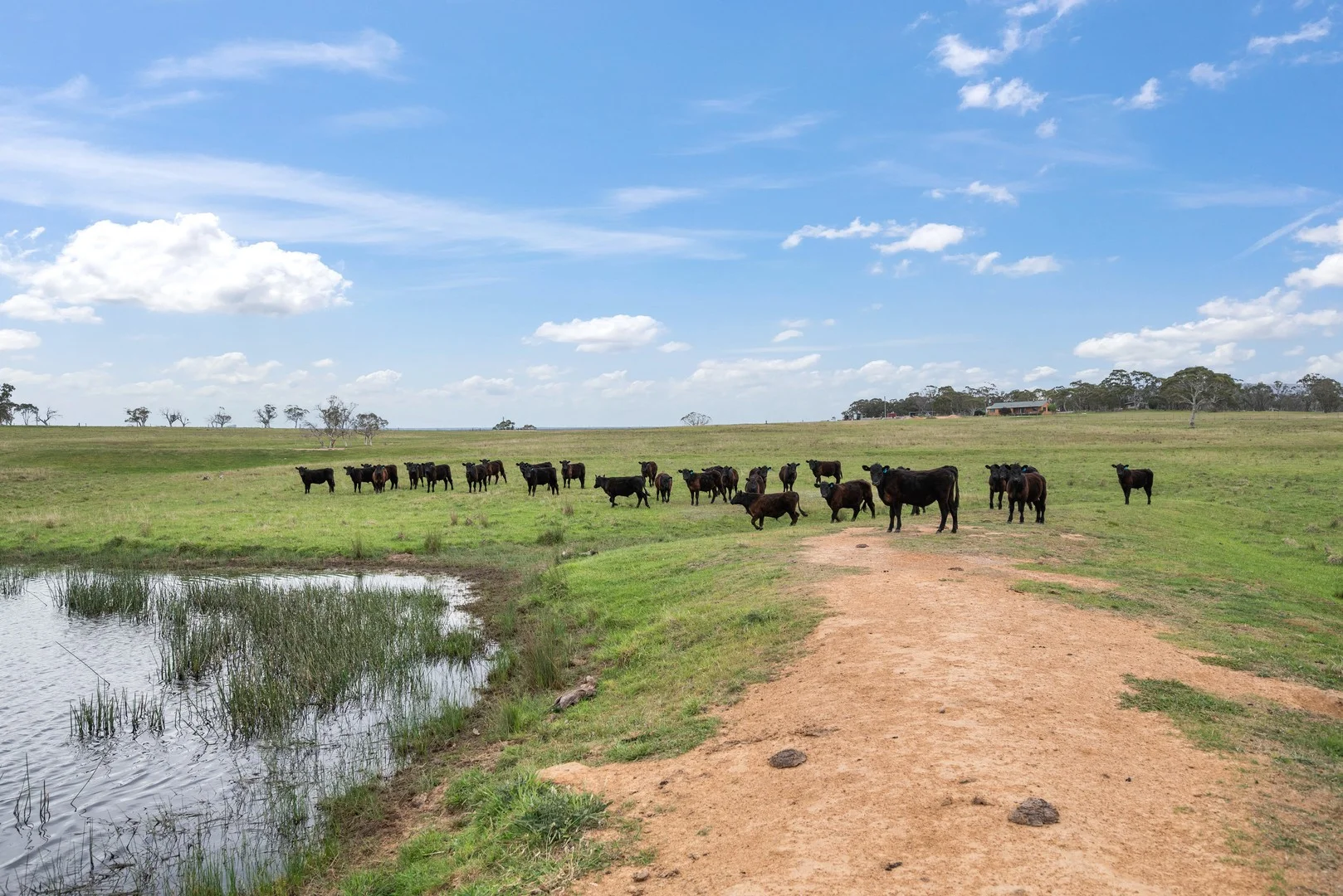 Additional image 3 of 536 Cooma Road, Braidwood NSW 2622