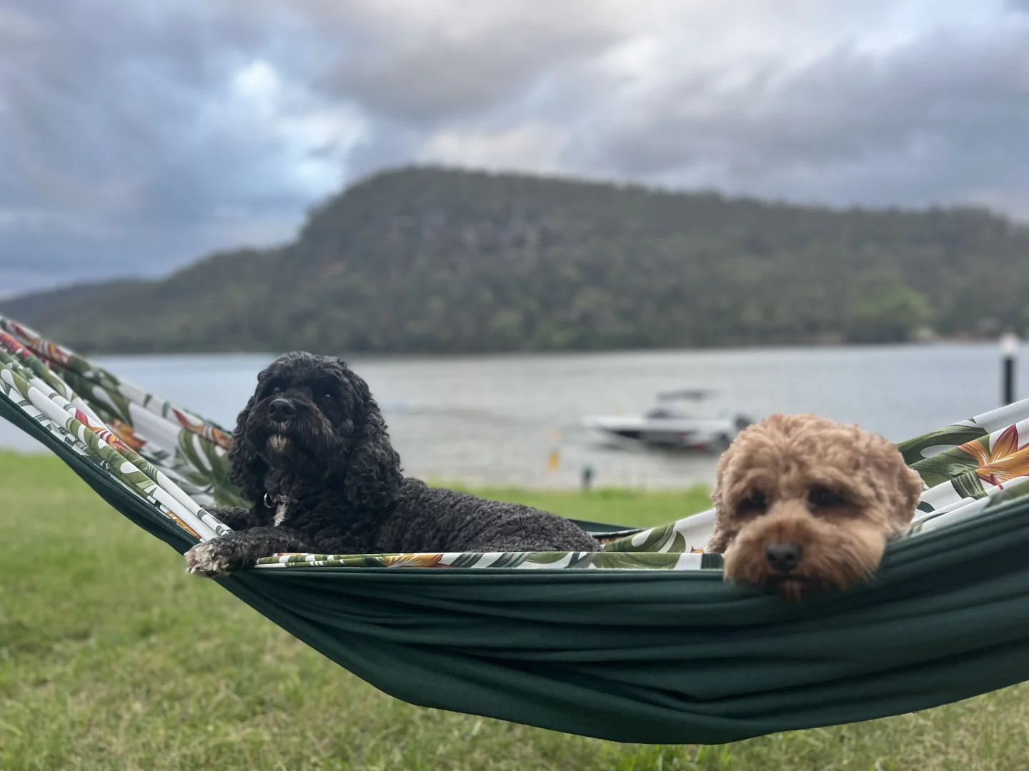 Additional image 12 of 94/2868 River road, Wisemans Ferry NSW 2775