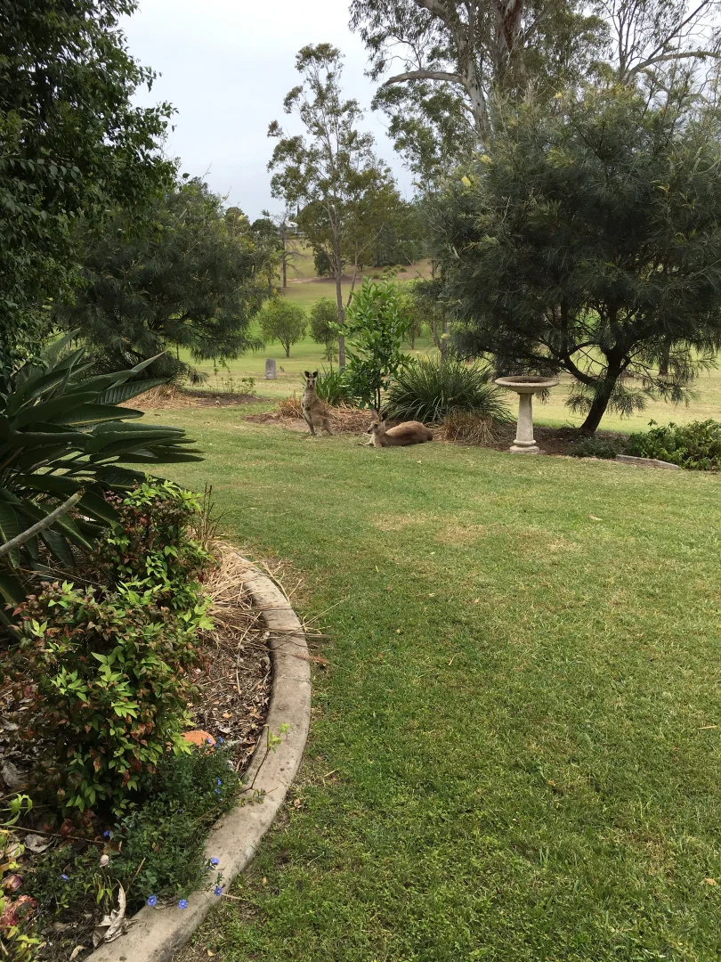 Additional image 3 of UNIT 35/25 Corella Road, Gympie QLD 4570