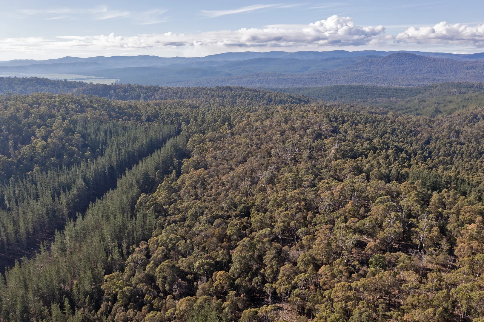 Additional image 15 of . Frankford Road, Harford TAS 7307