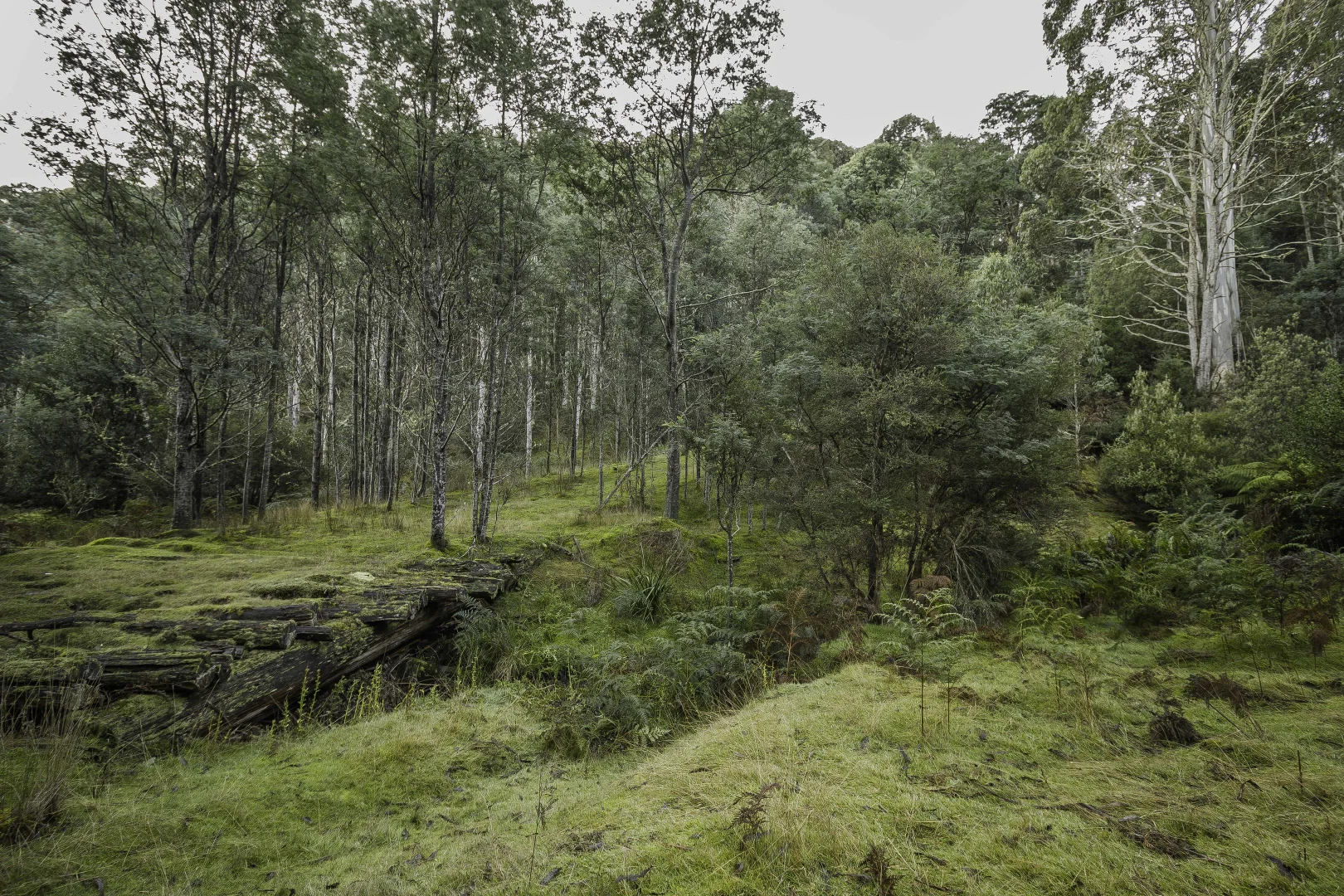 Additional image 29 of Judbury TAS 7109