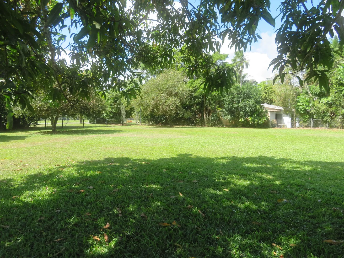 Additional image 16 of 18-20 Dagmar Street, Daintree QLD 4873