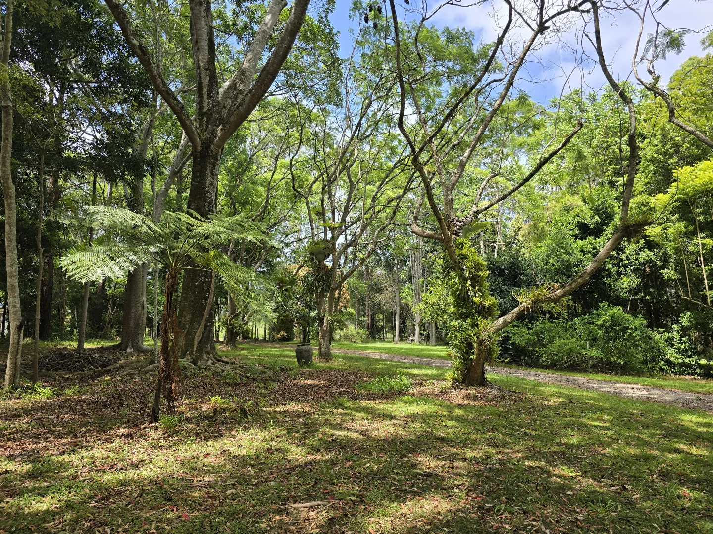 Additional image 29 of 145-159 Archville Station Rd, Bonville NSW 2450