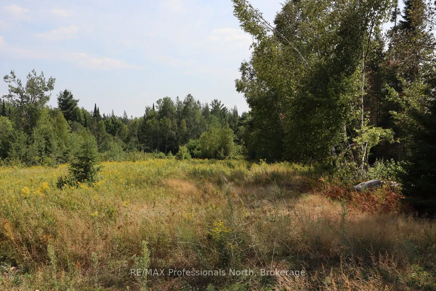 Additional image 3 of 1043 Piper Glen Road