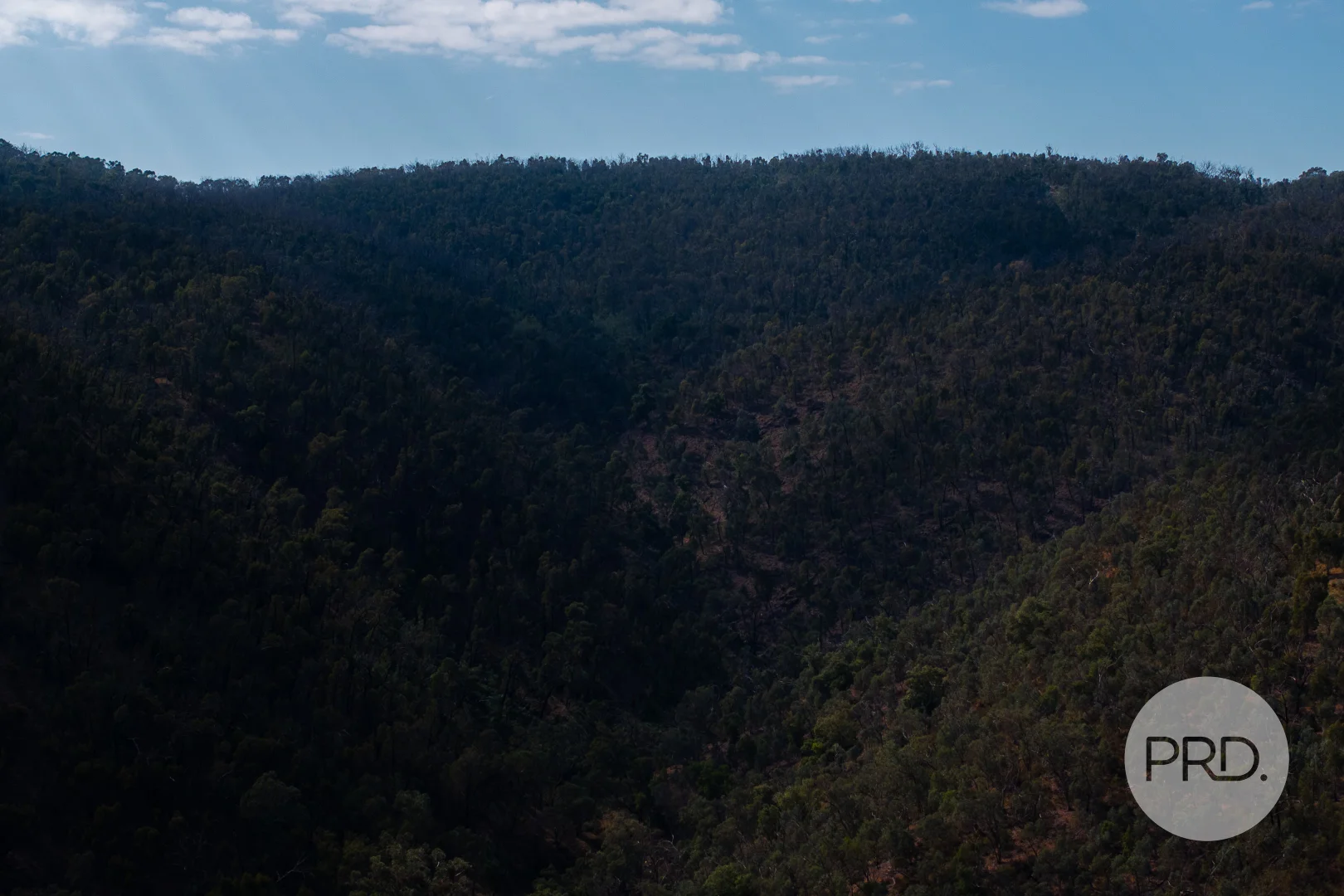 Additional image 33 of 294 Stewarts Road, Oberne Creek NSW 2650