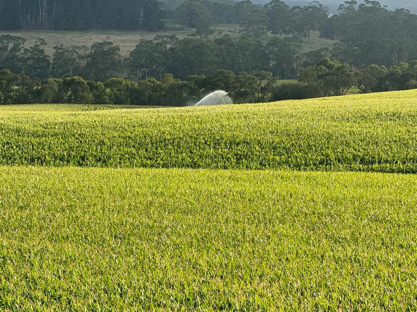 Additional image 20 of 520 Centre Road, Simpson VIC 3266