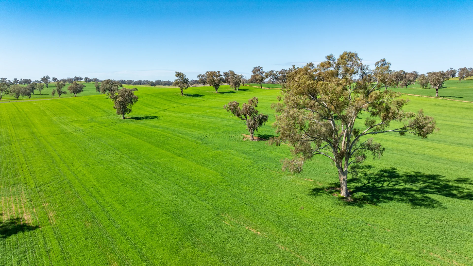 Additional image 33 of 1726 Howlong Burrumbuttock Road, Burrumbuttock NSW 2642