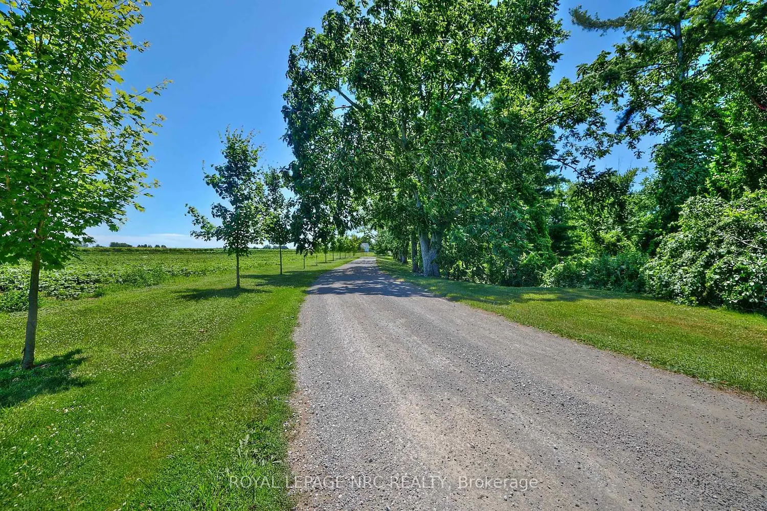 Additional image 18 of 1171 Mcnab Road