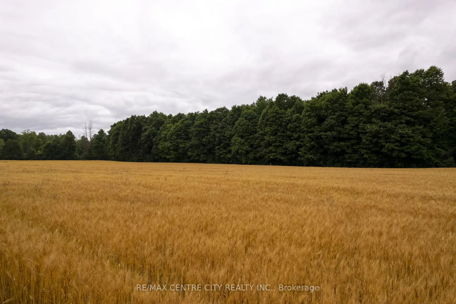 Additional image 13 of Pt Lt 6 Concession 8 Road