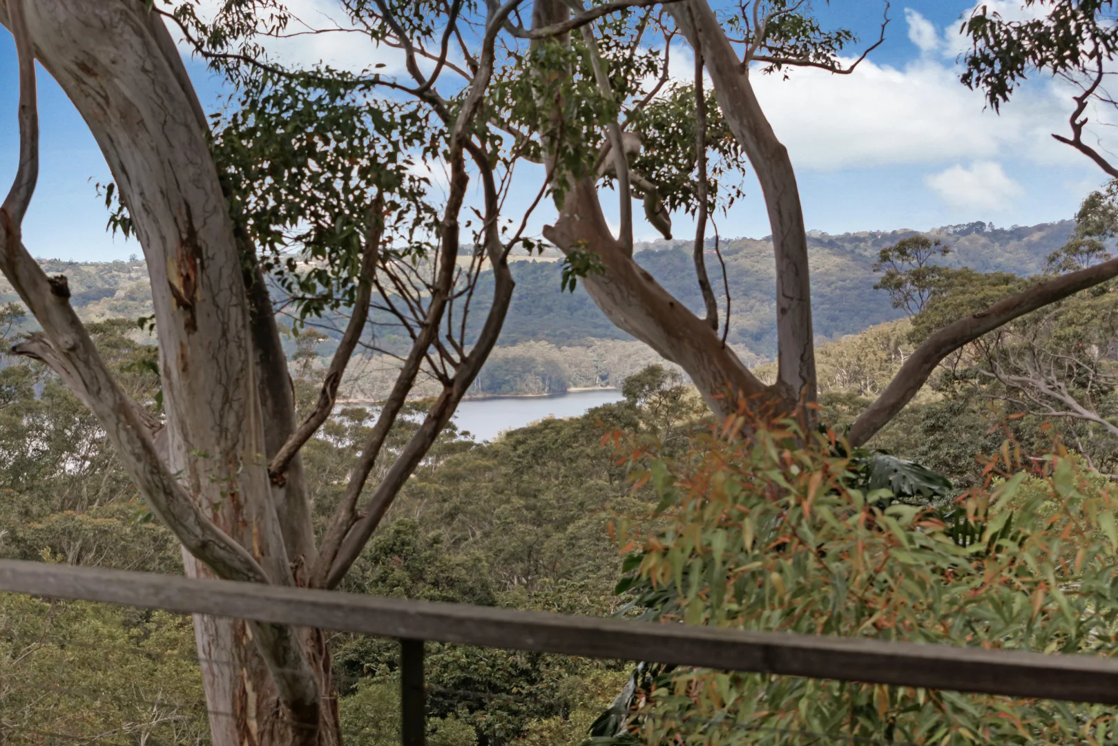 Additional image 17 of 60b Narrows Road, North Maleny QLD 4552