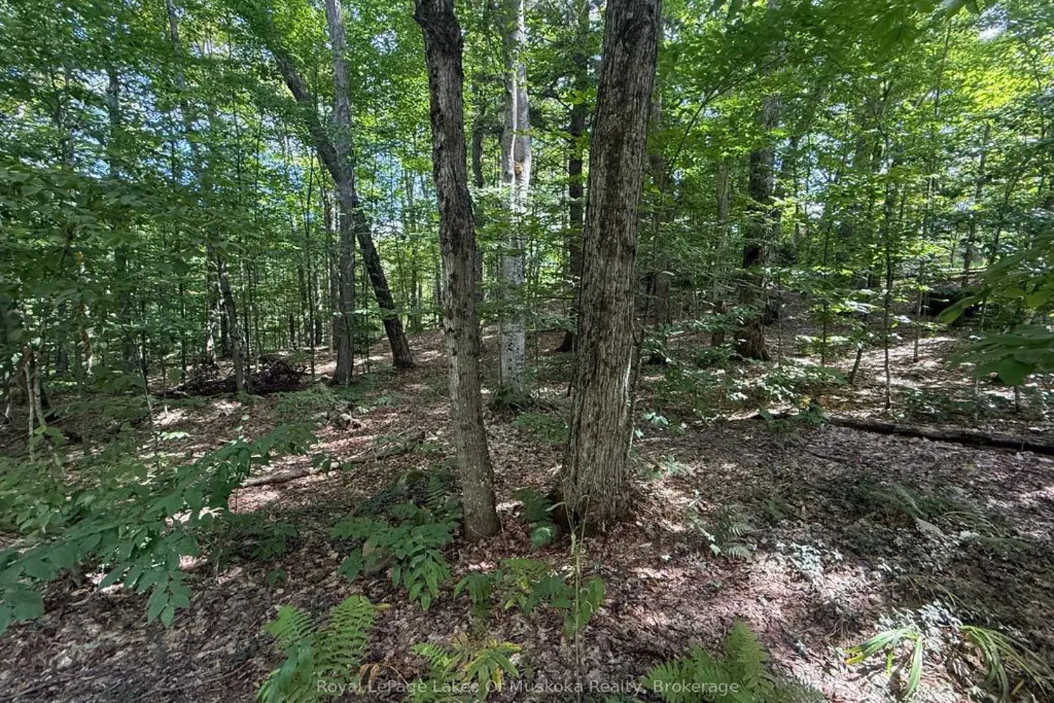 Additional image 3 of Lot 85 Brennan Circle