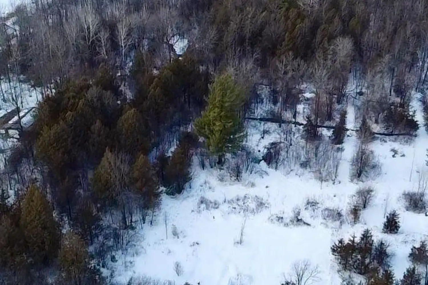 Additional image 3 of 103 Estis Road