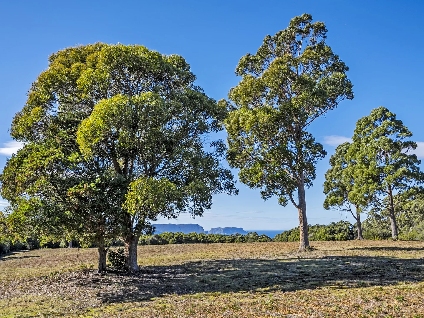 Additional image 15 of 312 Lookout Road, Port Arthur TAS 7182