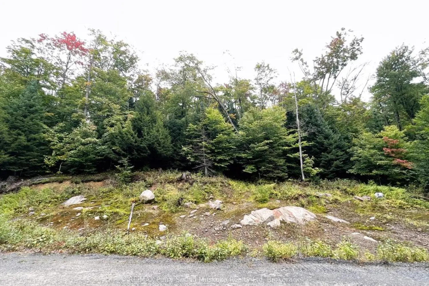 Additional image 11 of 75 Granite Drive