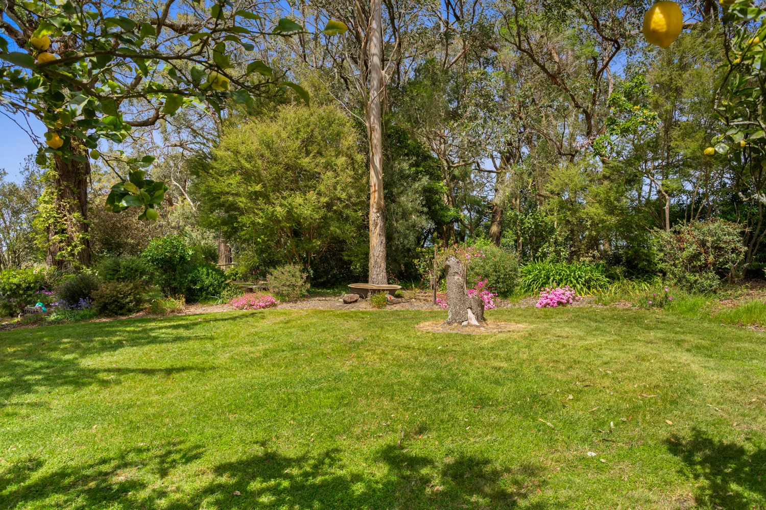 Additional image 22 of 345 Mt Lyall Road, Nyora VIC 3987
