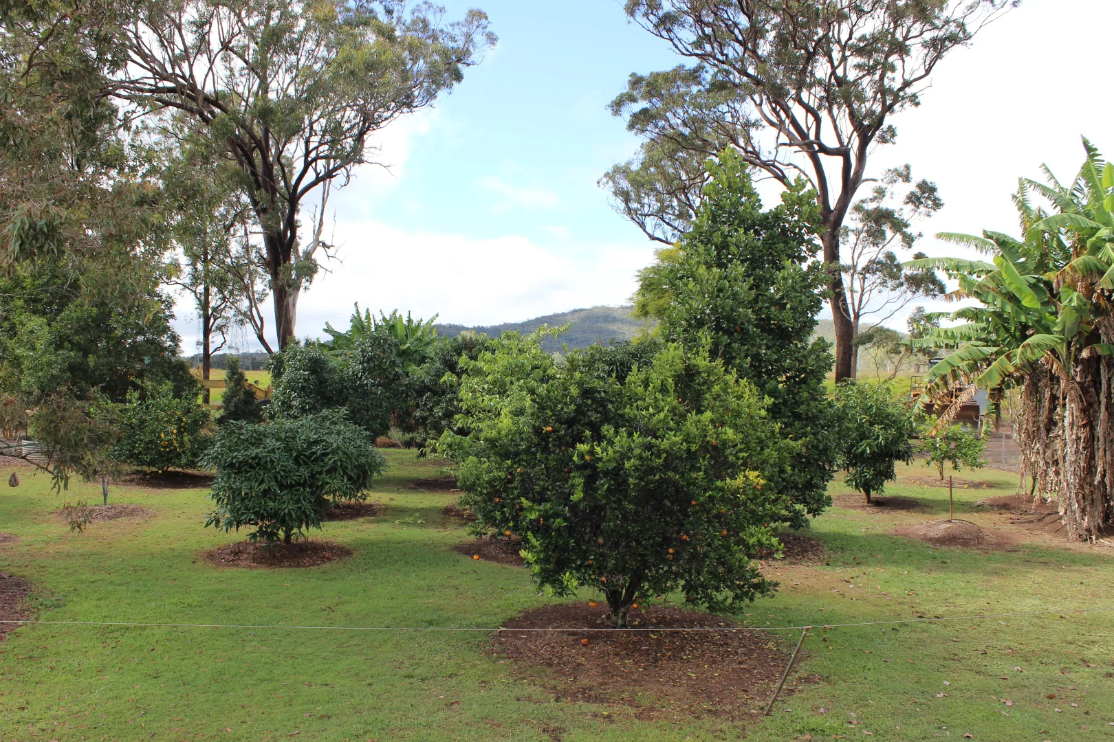 Additional image 5 of Innot Hot Springs QLD 4872