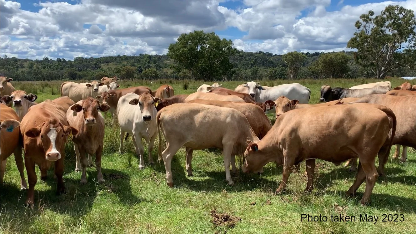 Additional image 11 of 404 New Valley Road, Inverell NSW 2360