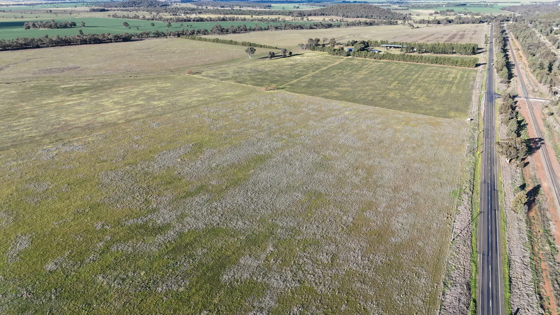 Additional image 61 of 3544 Henry Parkes Way, Bogan Gate NSW 2876