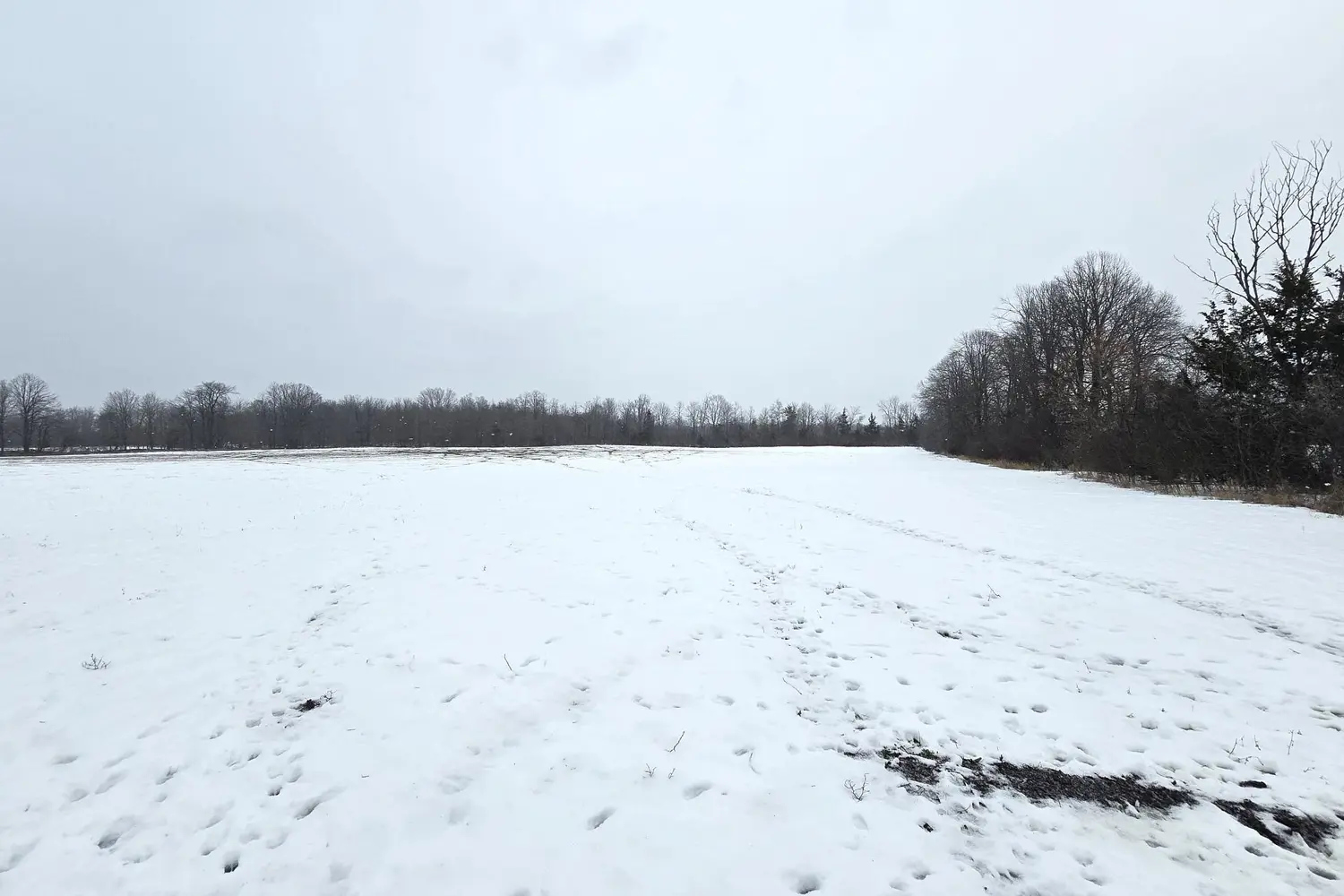 Additional image 6 of 0 Shannonville Road