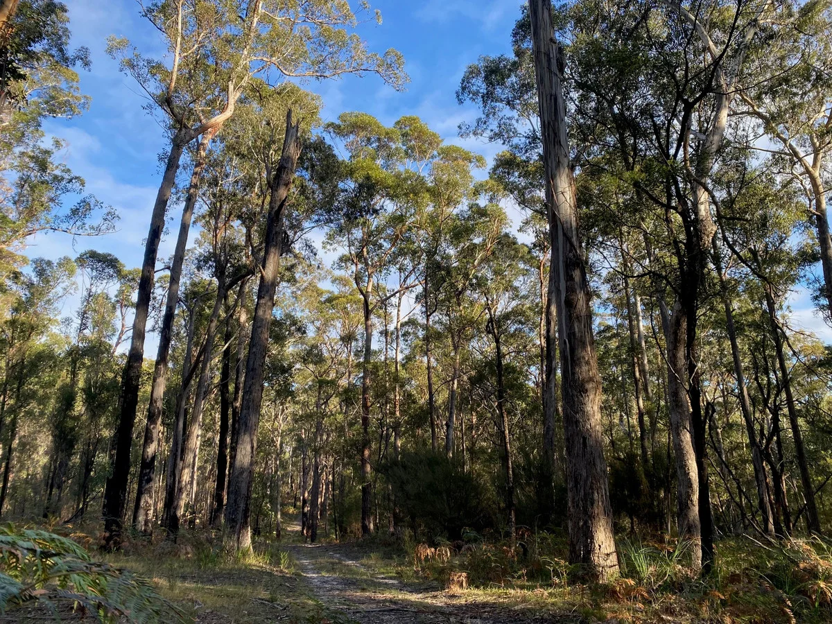 Additional image 7 of 210 Lens Road, Toorloo Arm VIC 3909