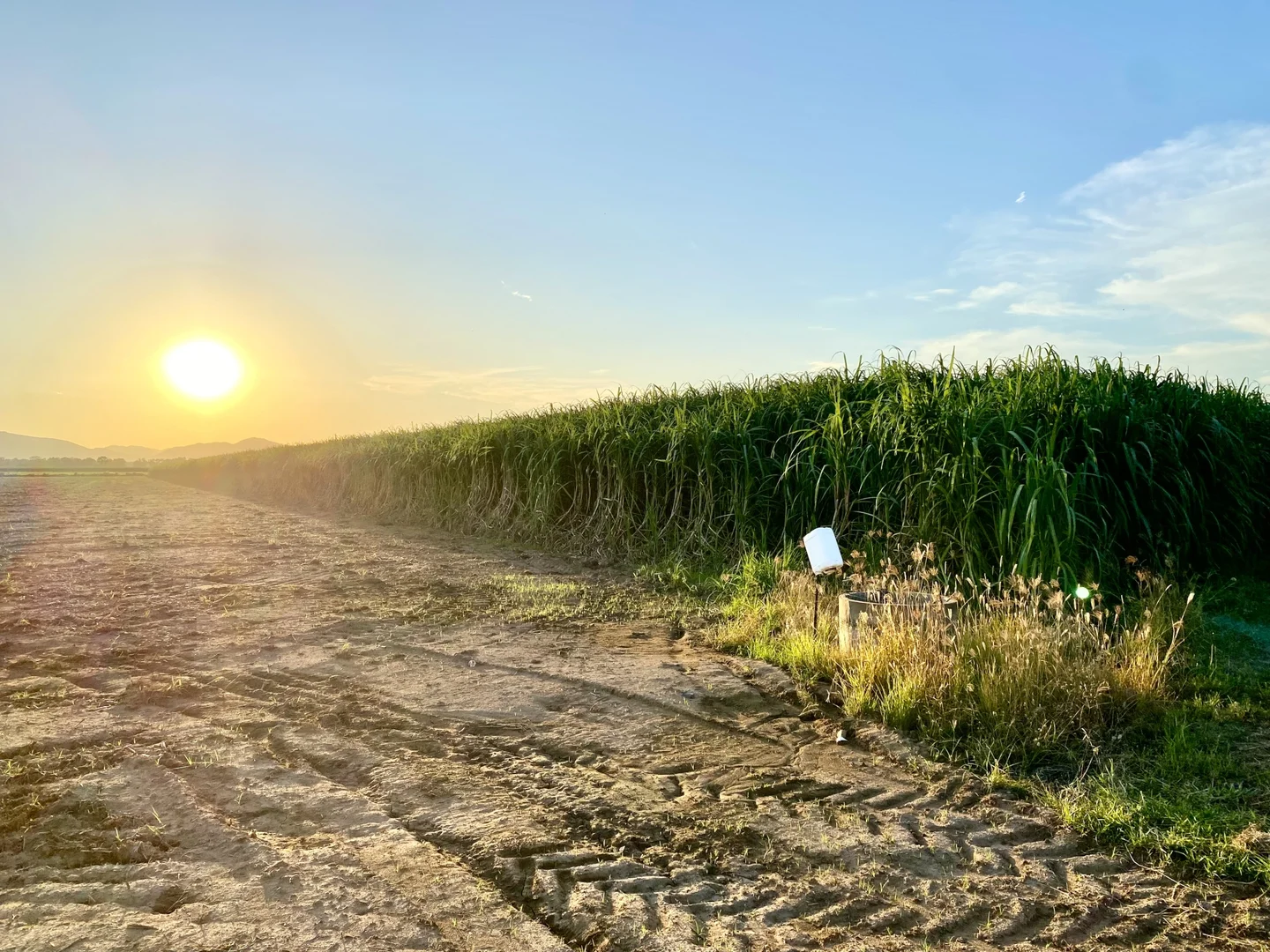 Additional image 6 of 5806 Ayr Dalbeg Road, Millaroo QLD 4807