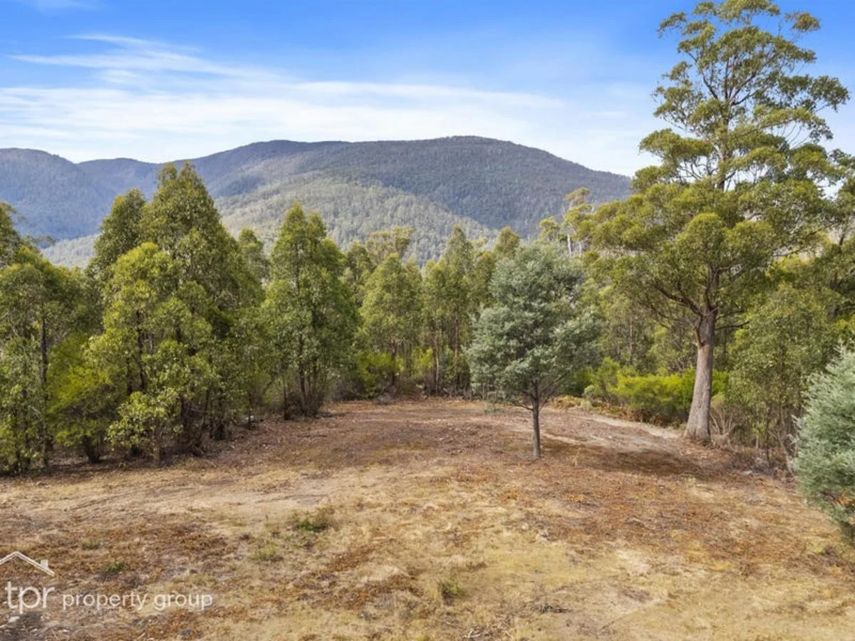 Additional image 11 of Lot 1 Bygraves Road, Crabtree TAS 7109