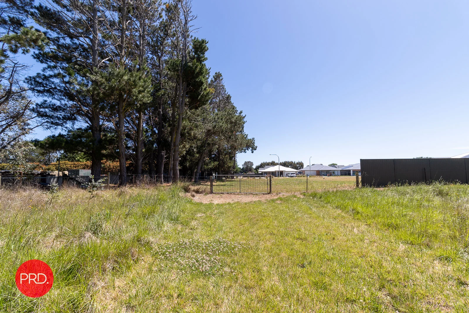 Additional image 8 of Ellendon Street, Bungendore NSW 2621