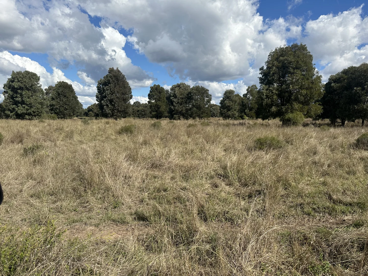 Additional image 10 of 7850 Chinchilla Wondai Rd, Durong QLD 4610