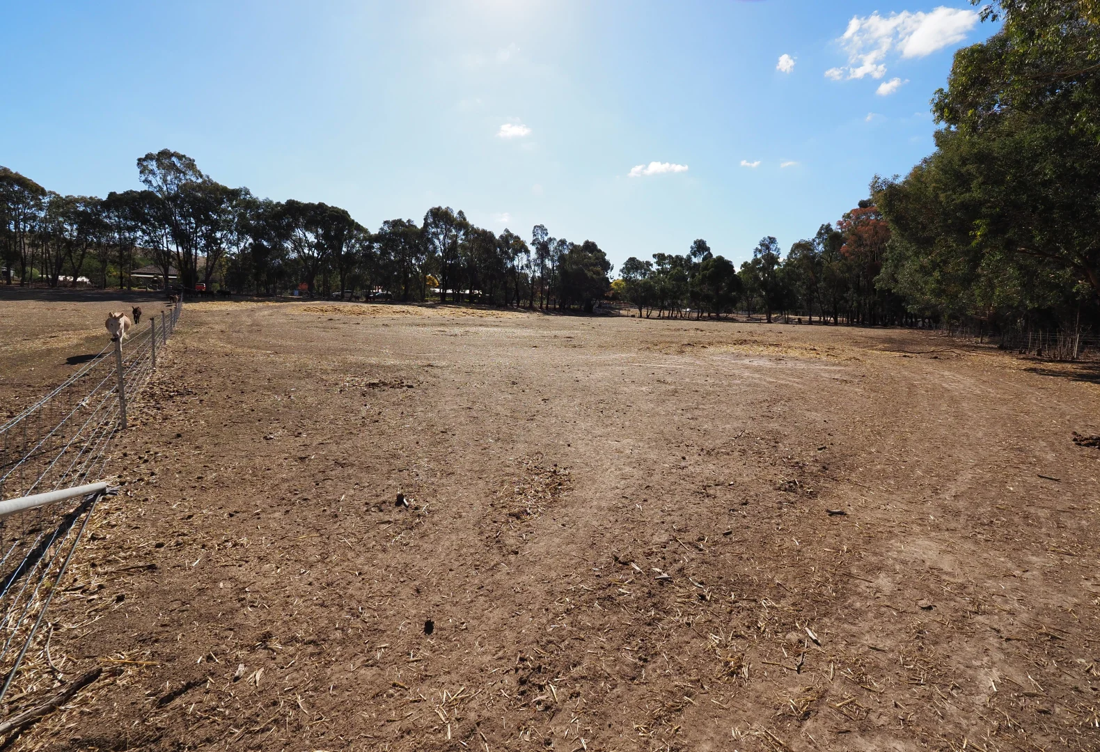 Additional image 8 of Ennis Street, Amphitheatre VIC 3468
