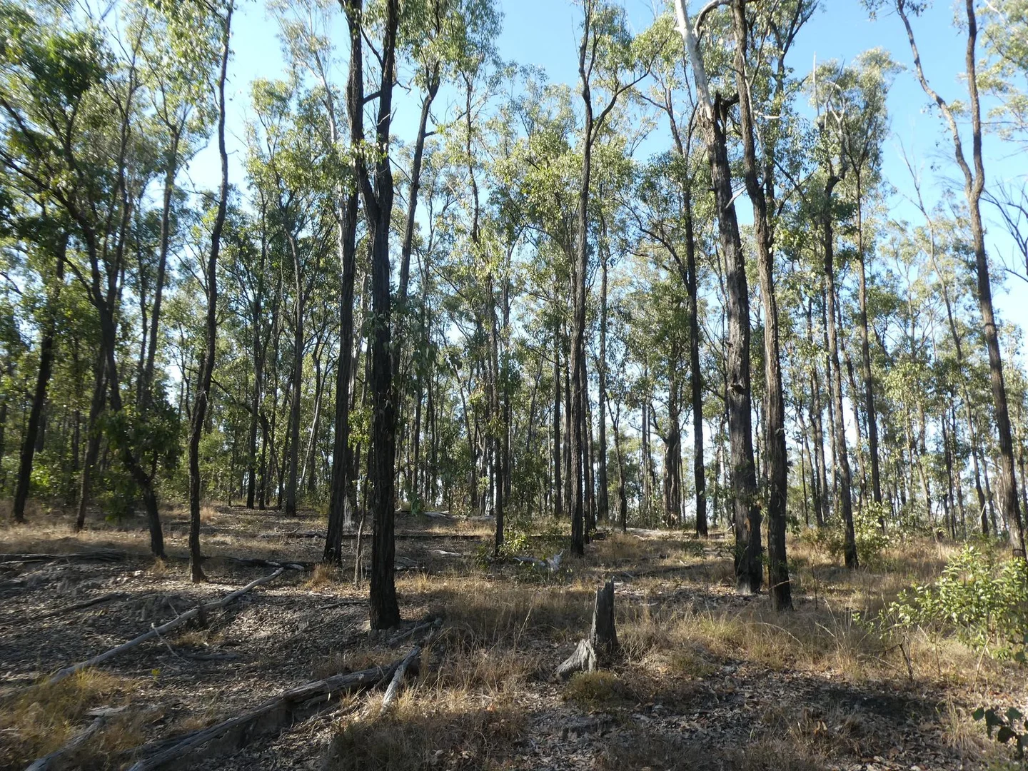 Additional image 12 of Lot 14 Monto Mount Perry Road, Mungy QLD 4671