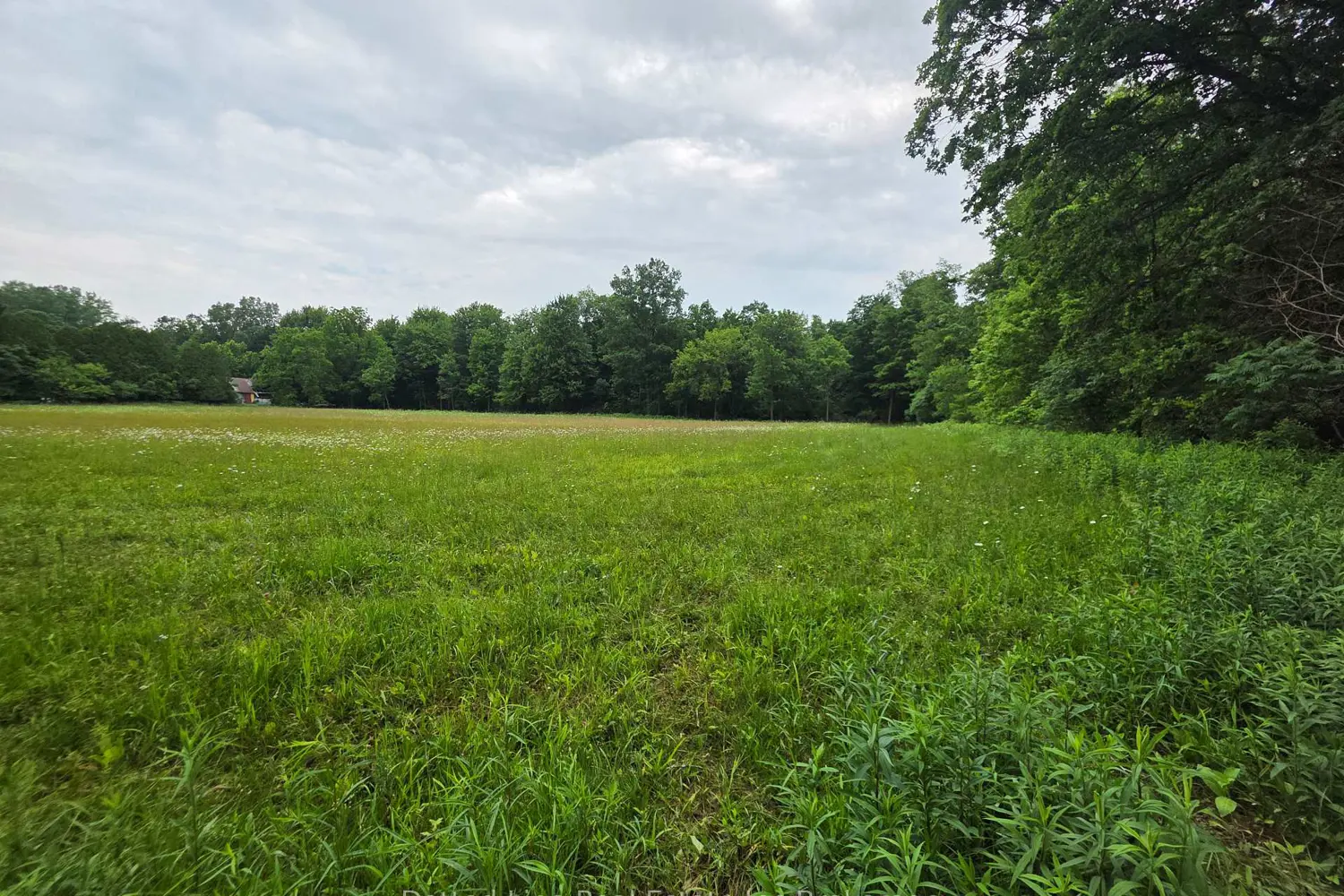 Additional image 3 of 30101 Peter Road