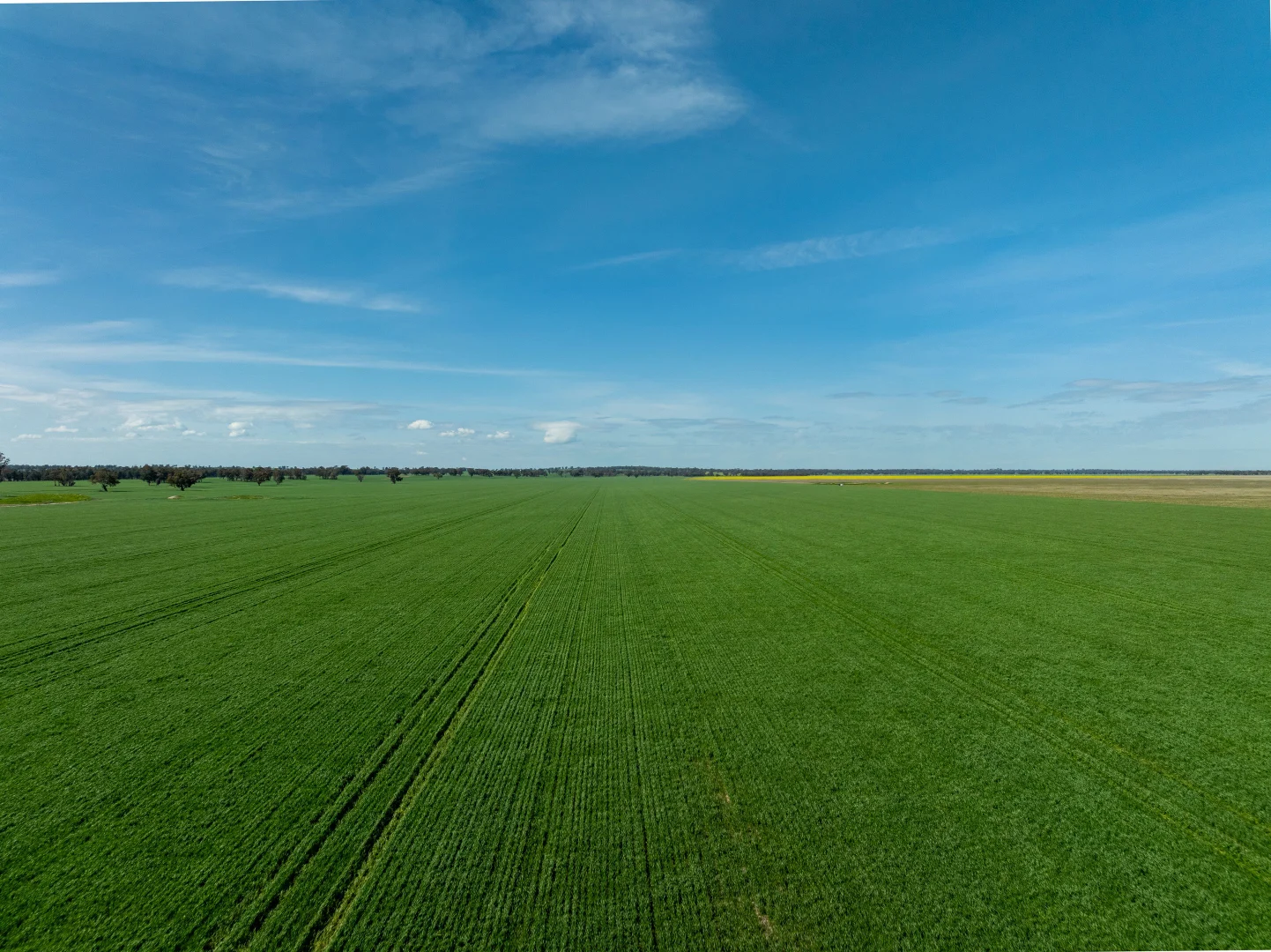 Additional image 20 of 90 Kilnyana Road, Savernake NSW 2646