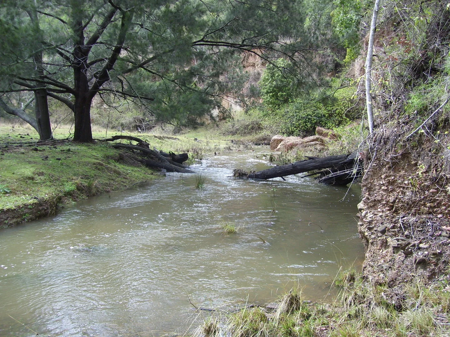 Additional image 3 of 95 Smiths Creek Road, Lower Creek NSW 2440