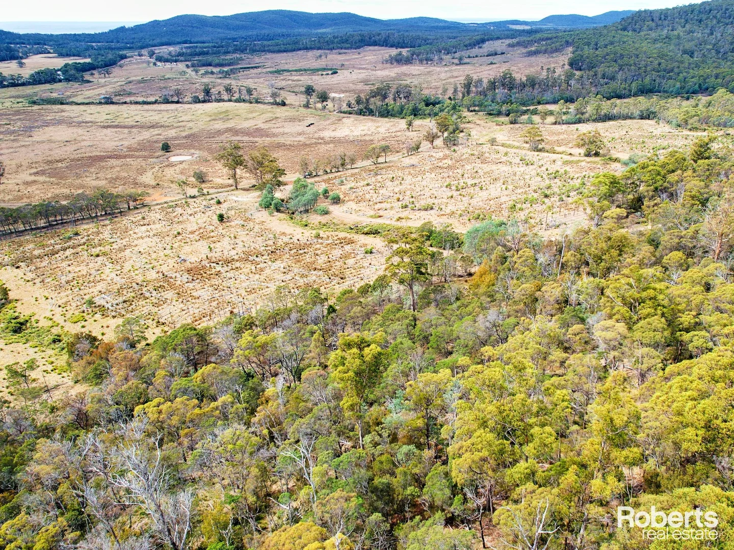 Additional image 4 of Lot 12, 13/524 Rosedale Road, Bicheno TAS 7215
