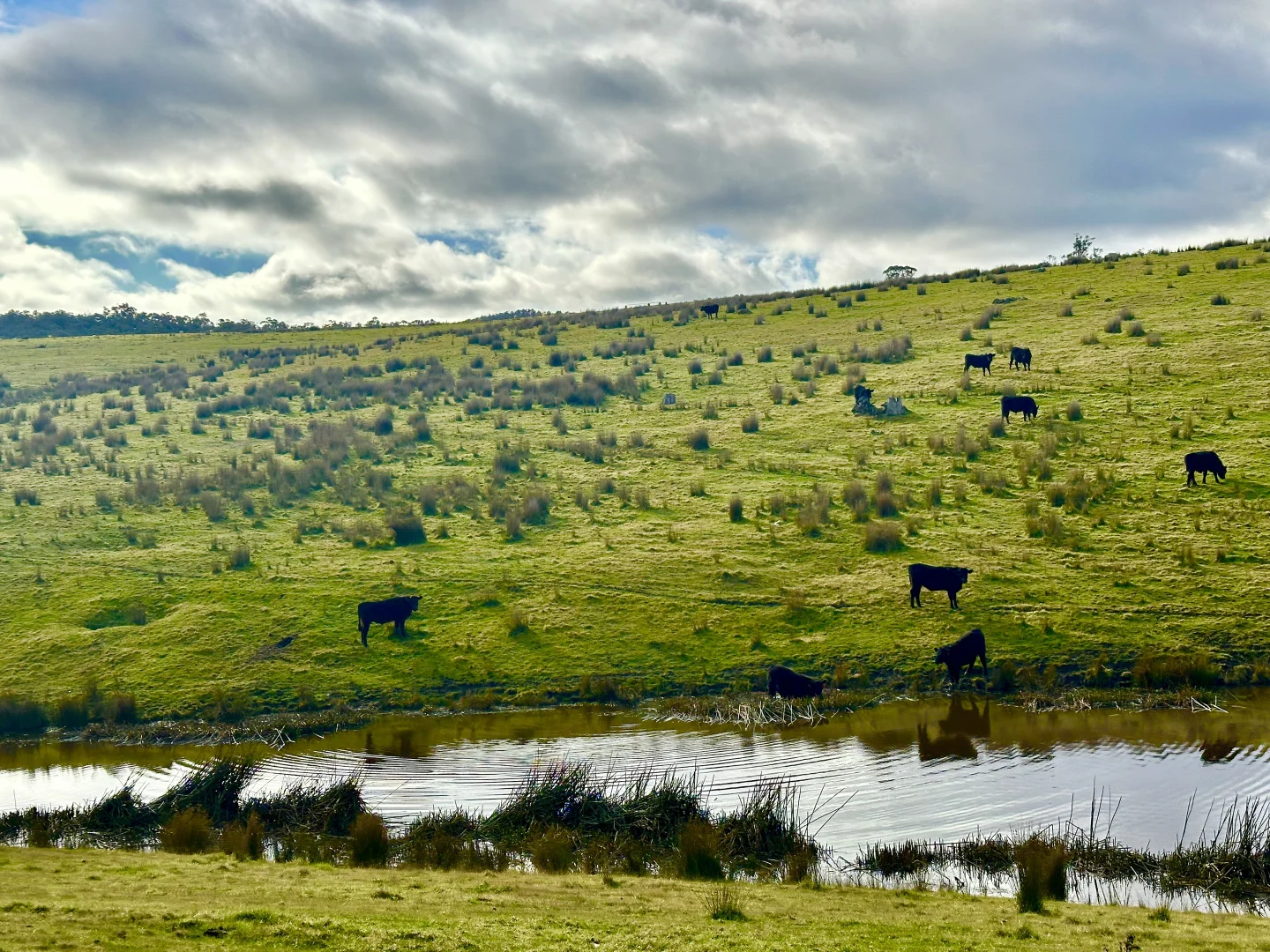 Additional image 27 of 151 Wattle Hill Road, Buchan South VIC 3885