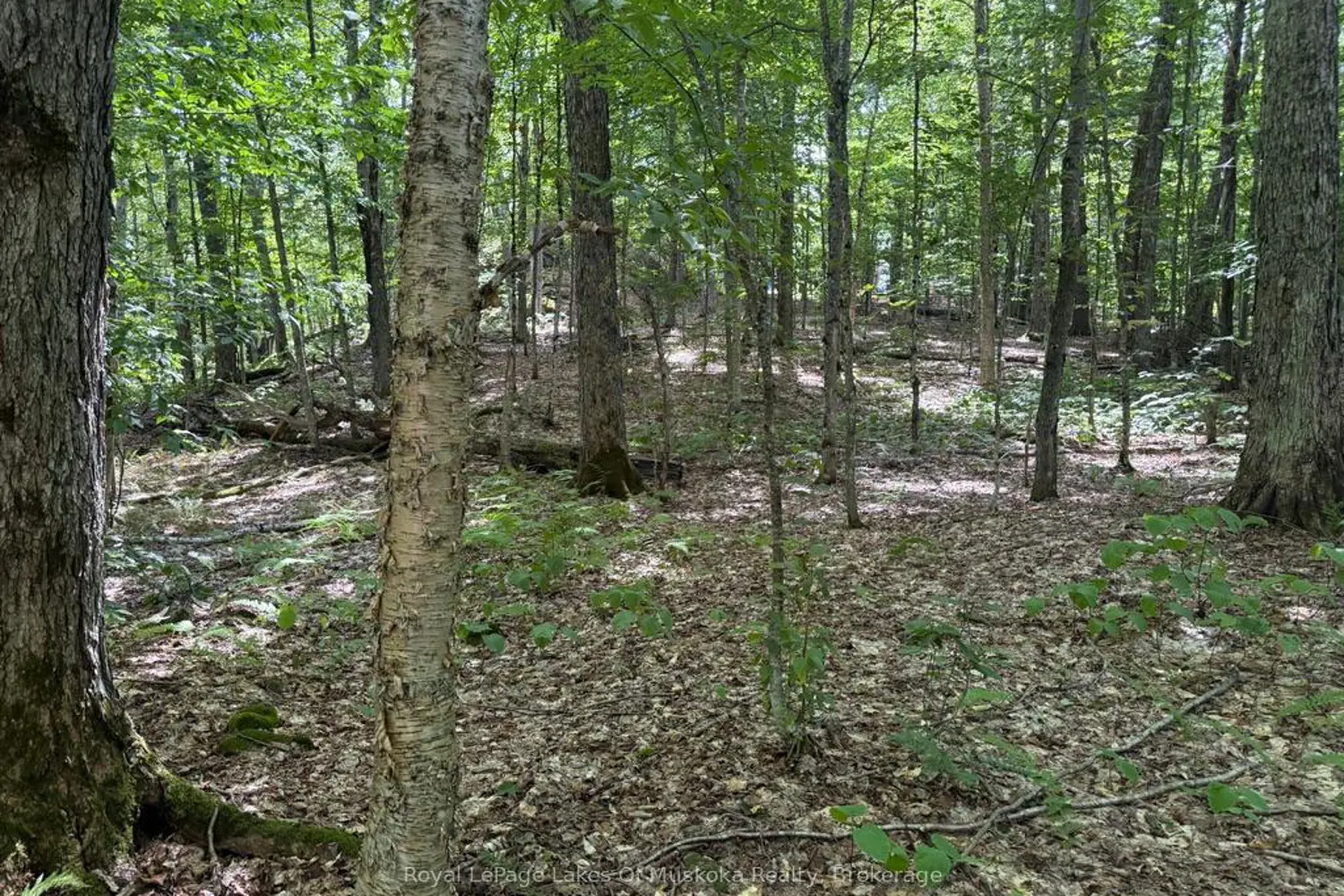 Additional image 6 of Lot 85 Brennan Circle