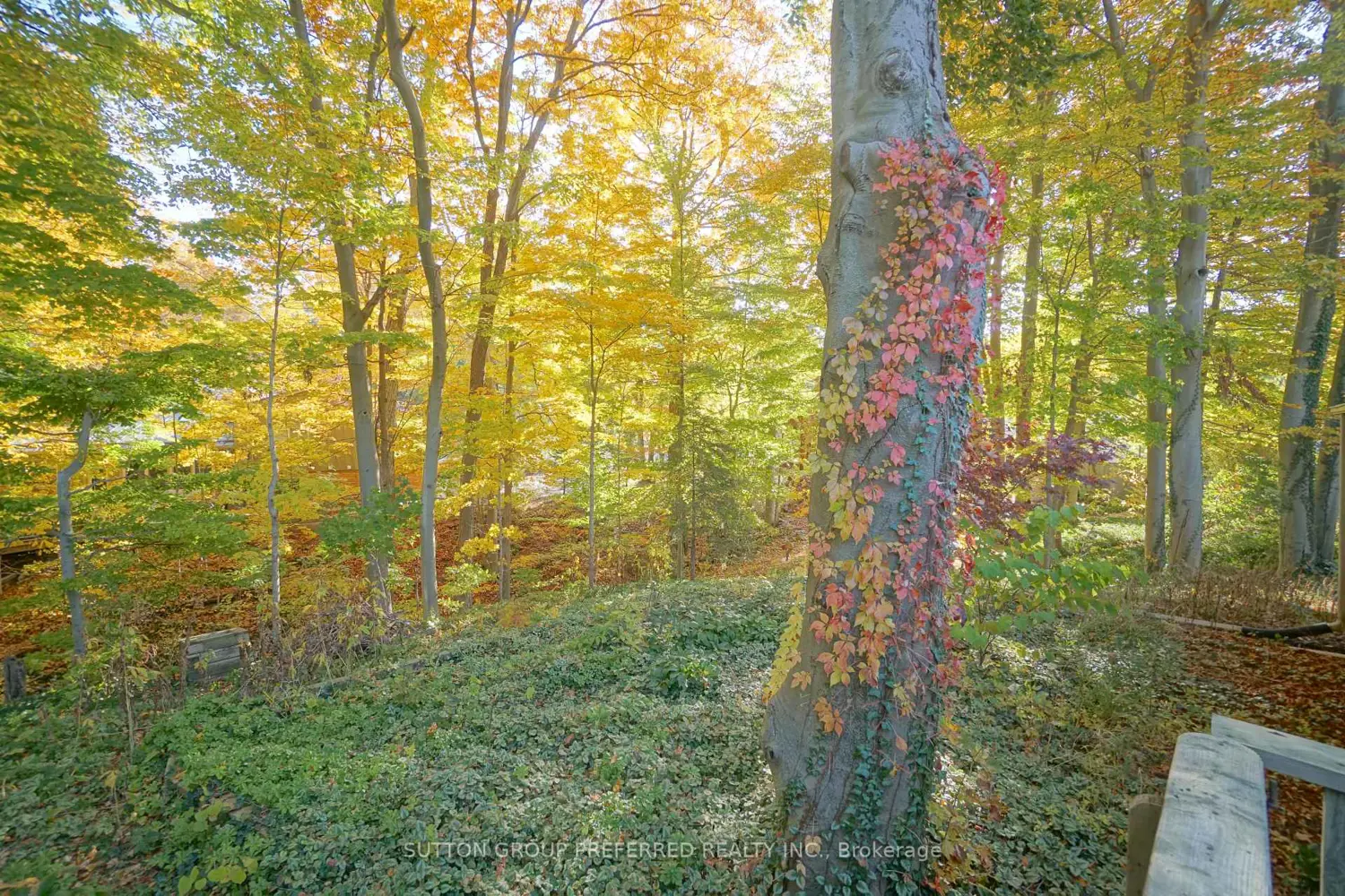 Additional image 16 of 7 Metamora Crescent